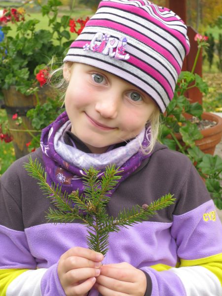gal/2016/19 Sumava Kocicov/IMG_4680.JPG